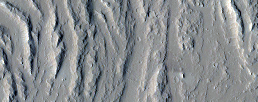 Streamlined Features in Olympica Fossae
