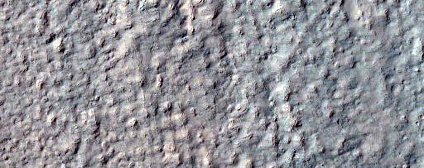 Gully Frost Monitoring
