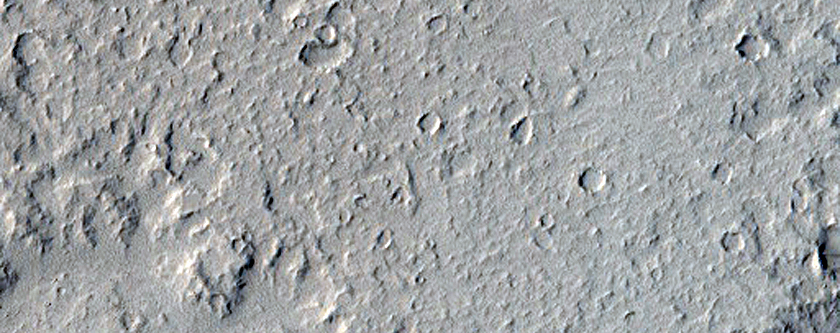 Flow Margin in Amazonis Planitia
