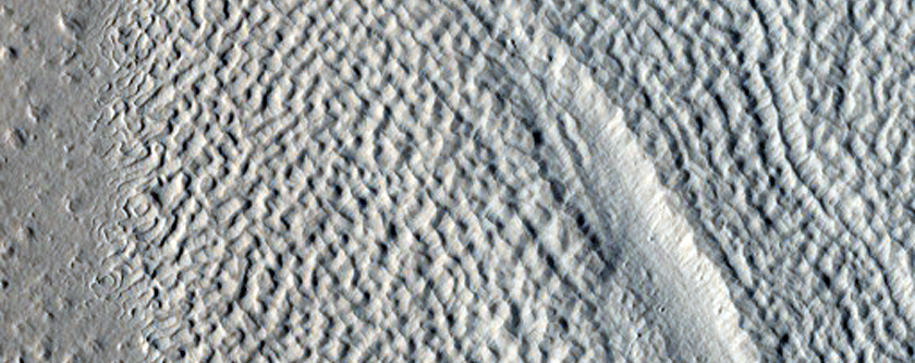 Flow Features and Pits in Crater South of Cerulli Crater

