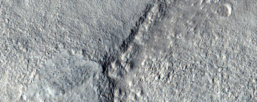 Faulted Plains in Tempe Terra
