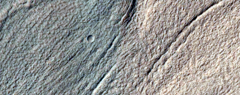 Volatiles and Gullies
