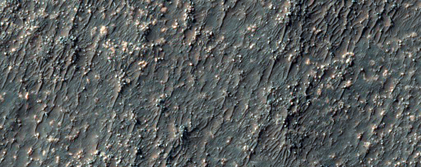 Possible Chloride-Rich Terrain

