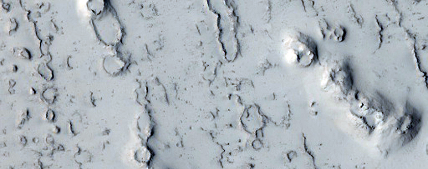 Cratered Cones and Wakes in Tartarus Montes
