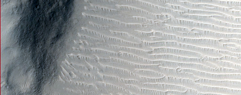 Licus Vallis
