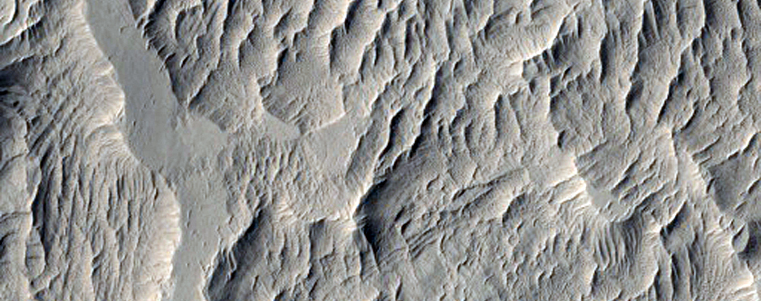 Rings in Schiaparelli Crater
