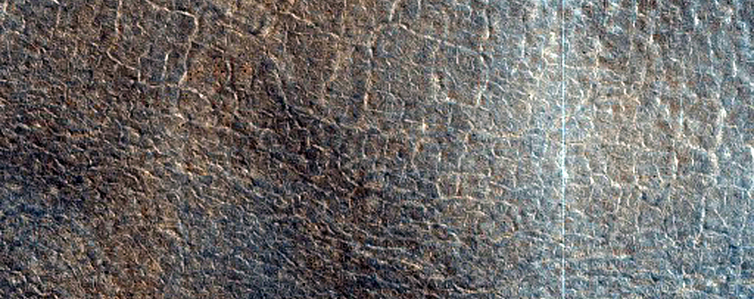Thermally Distinct Terrains in Northern Plains
