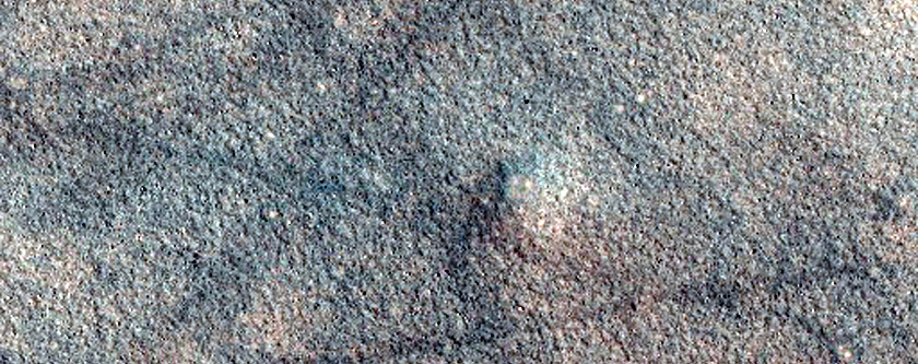 Northern Plains Terrain Sample
