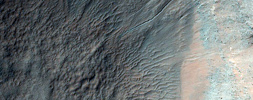 Gully Monitoring
