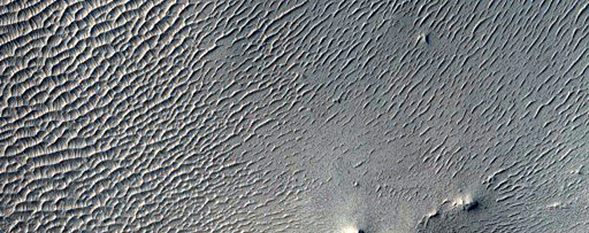 Possible Gullies
