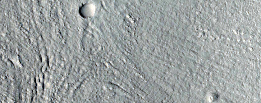 Mounds and Flow Features on Crater Floor
