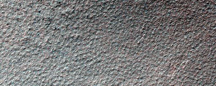 Mantled Terrain in Southern Hemisphere Crater
