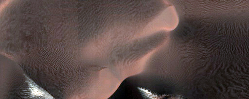Dune Gully Monitoring
