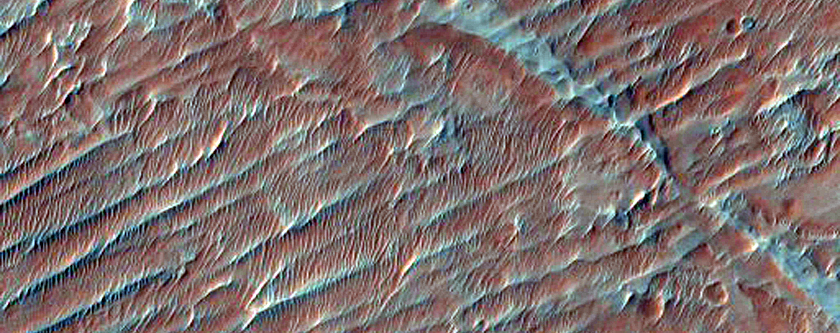 Alluvial Fan Surface with Inverted Channels
