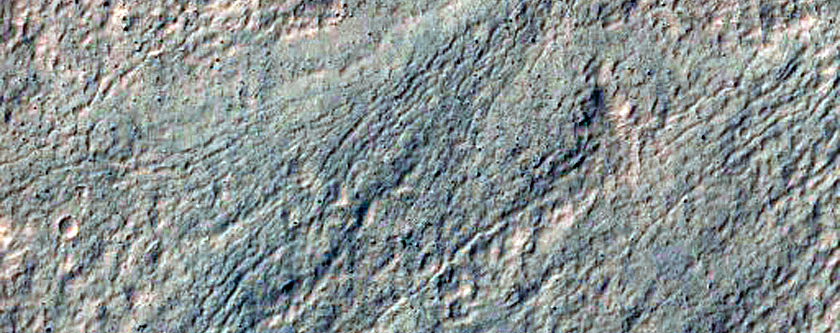 Monitor Gully Activity in Corozal Crater
