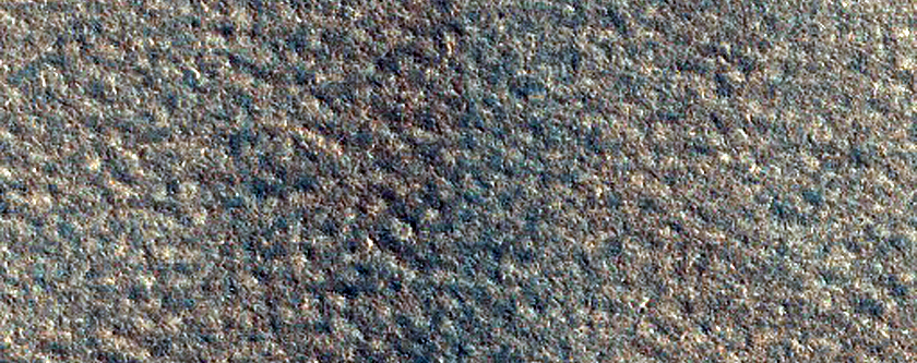 Surface Texture of Vastitas Borealis
