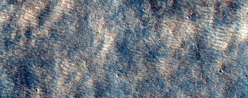 Pedestal Crater and Polygons in Northern Lowlands
