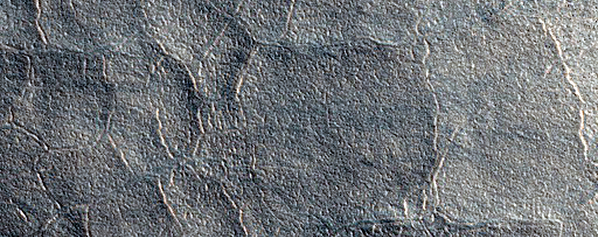 Possible Gullies
