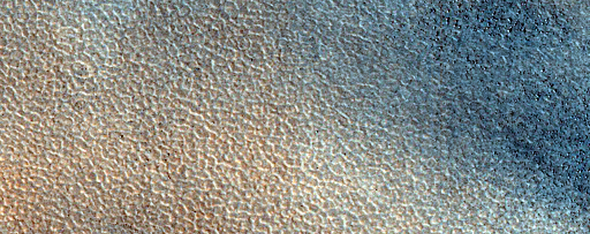 Sample in Acidalia Planitia
