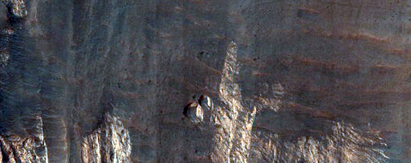 Potential Future Landing Site in Eastern Terby Crater
