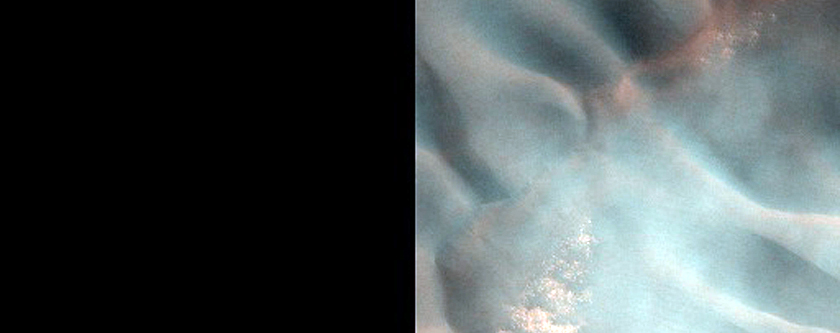 Sample Surface Texture
