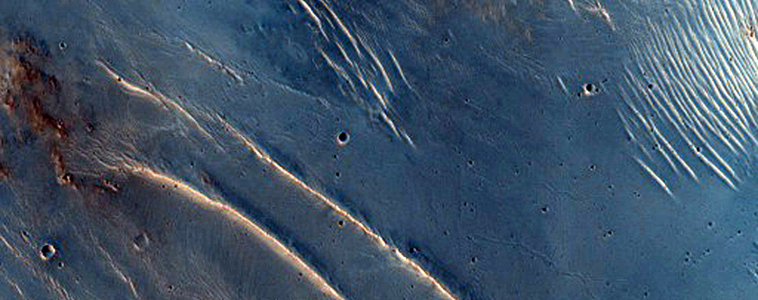 Mountainous Rim of Herschel Crater

