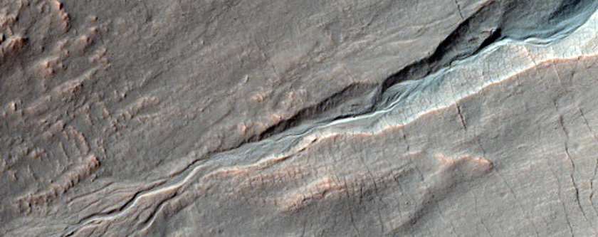 Frosted Gullies
