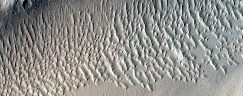 Fossae Across Plain West of Echus Chasma
