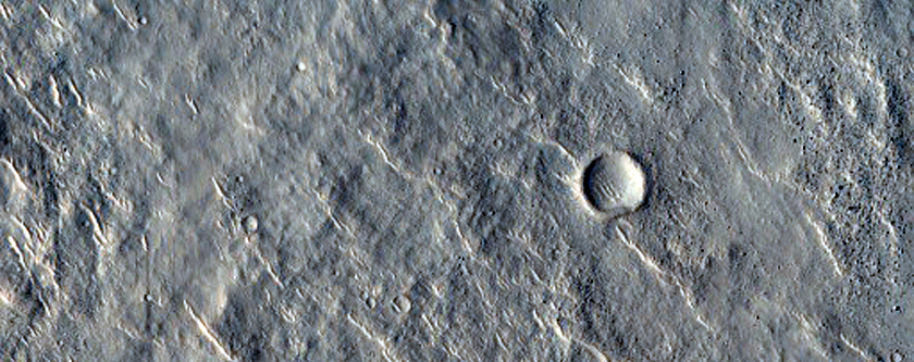 Rayed Crater in Isidis Planitia
