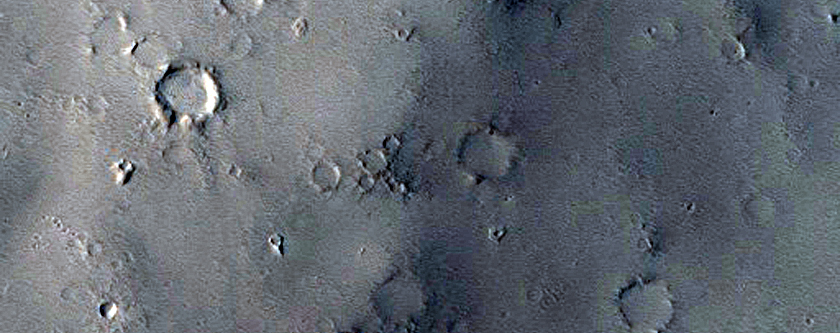 Mounds in the Apollinaris Mons Fan Deposits
