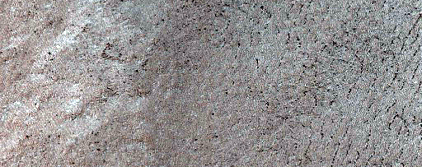 Terra Sirenum Region
