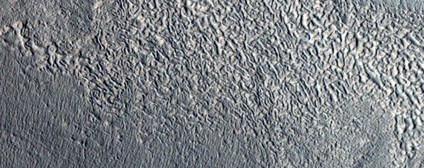 Surface Flow Features in Deuteronilus Mensae
