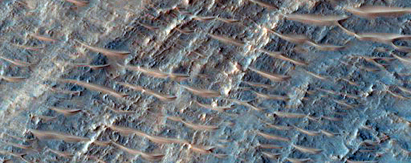 Possible Hydrate-Rich Terrain

