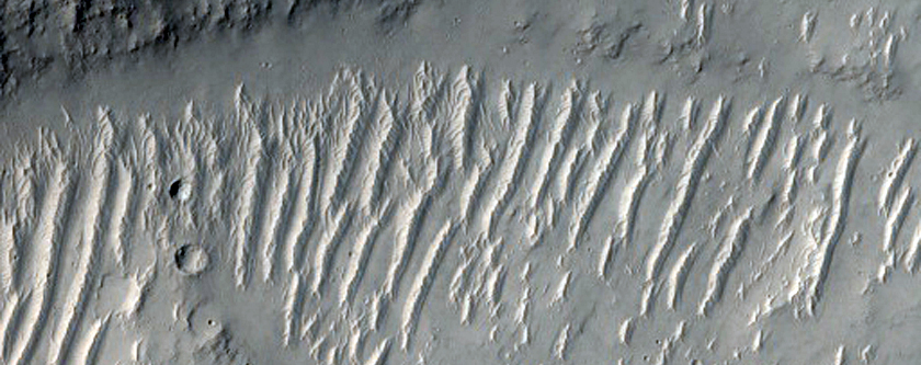 Wide Spot in Memnonia Fossae
