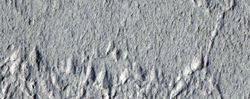 Ridges in Amazonis Planitia
