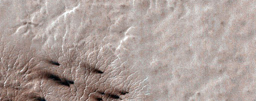 Monitor Seasonal Changes at a South Polar Cracked and Gullied Site
