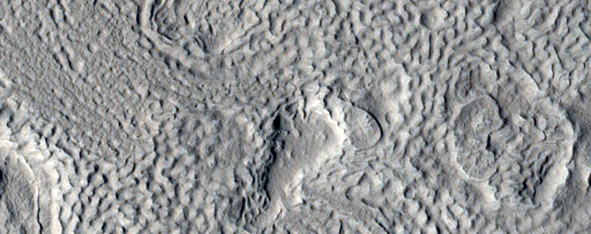 Sample of Fretted Terrain in West Protonilus Mensae
