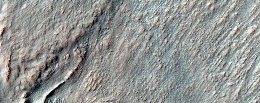Gully Frost Monitoring

