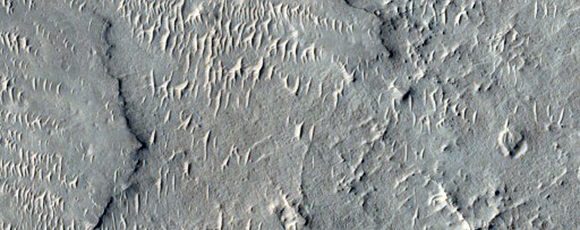 Possible Hydrated Minerals in Meridiani Planum
