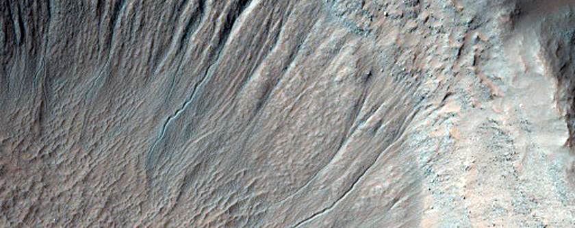 Gully Monitoring
