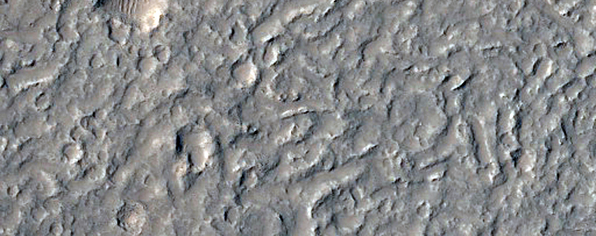Lava Flows in Crater in Southwestern Daedalia Planum
