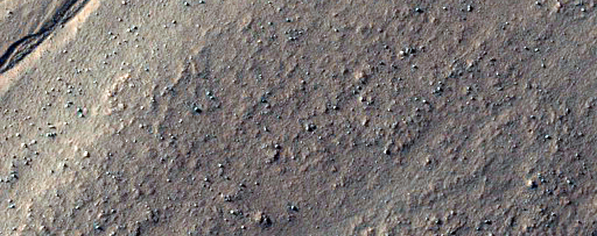 Gullies in Western Nereidum Montes
