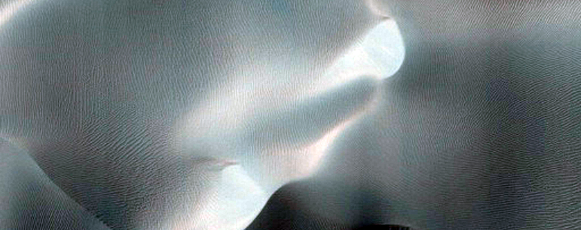 Dune Gully Monitoring
