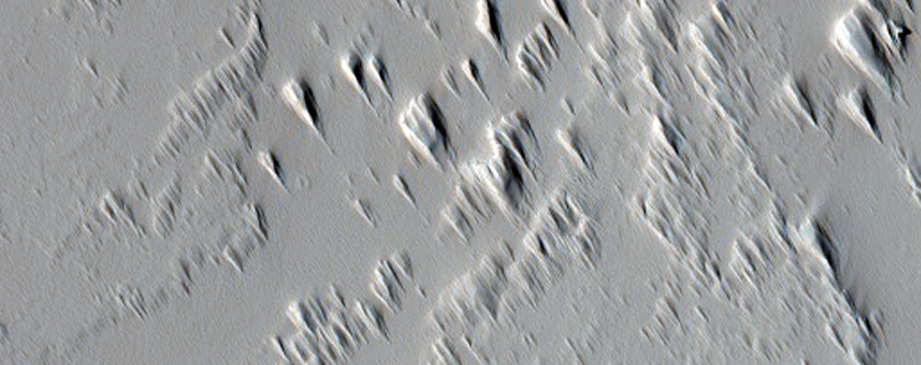Sinuous Channel South of Ascraeus Mons
