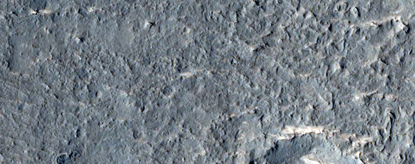 Rocky Ground
