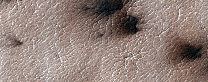Classic Spider Terrain
