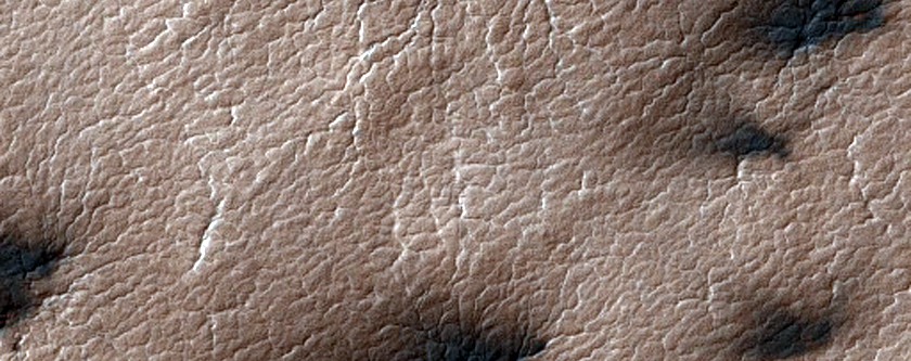 Classic Spider Terrain
