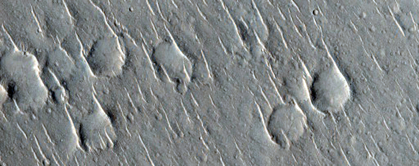 Circular Trough Features on Isidis Planitia
