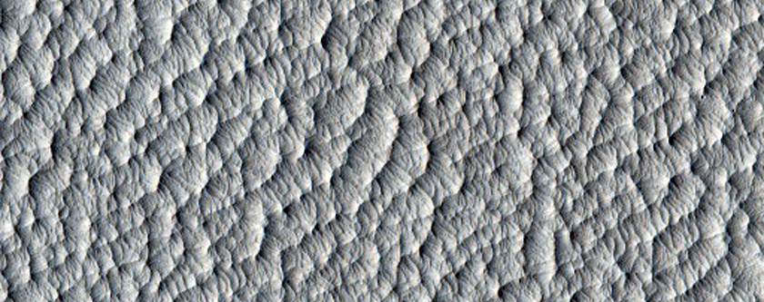 Potential Landing Site in Schiaparelli Crater
