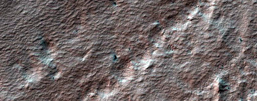 Spiders Higher in Outcrop of Polar Cap
